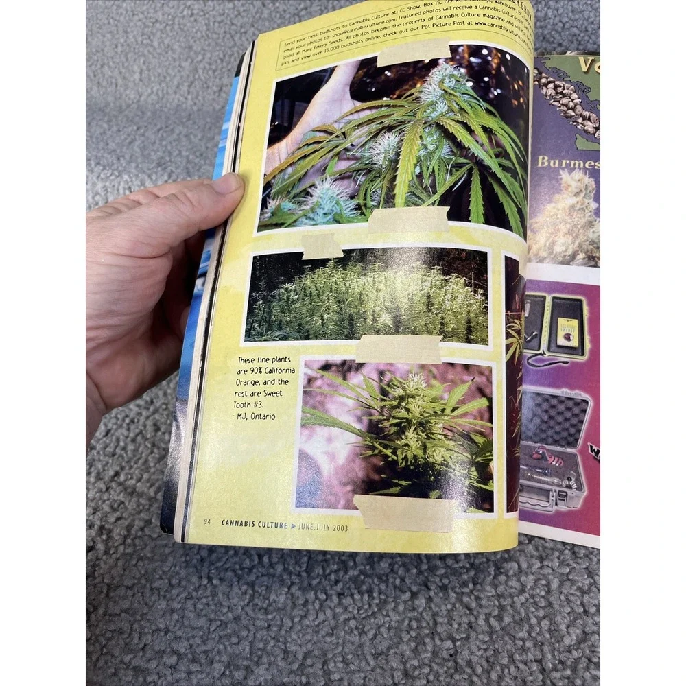 CANNABIS CULTURE MAGAZINE‎ JUNE / JULY 2003